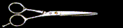 ciseaux2.gif (17471 octets)