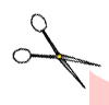 cizo.gif (3472 octets)